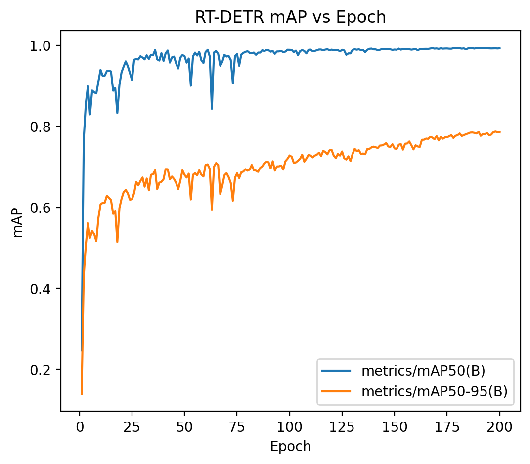 Validation mAP - RT-DETR