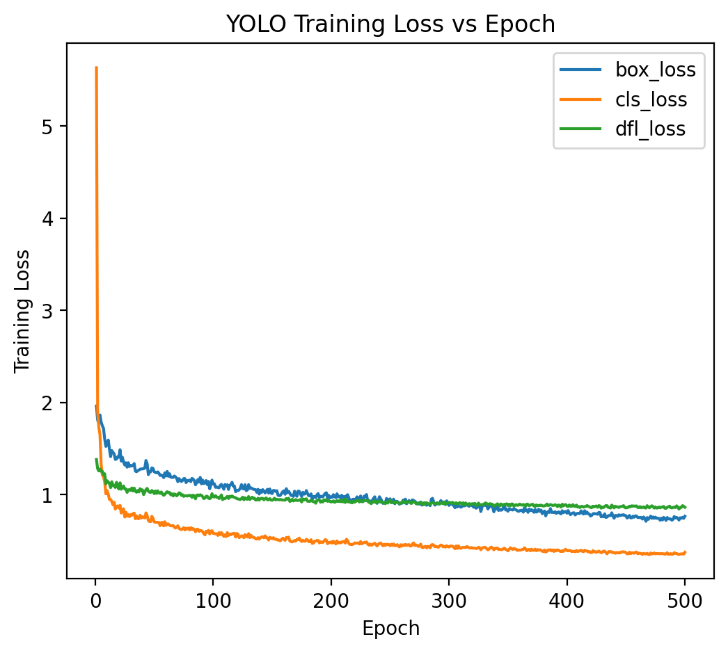 Training Loss - YOLOv11
